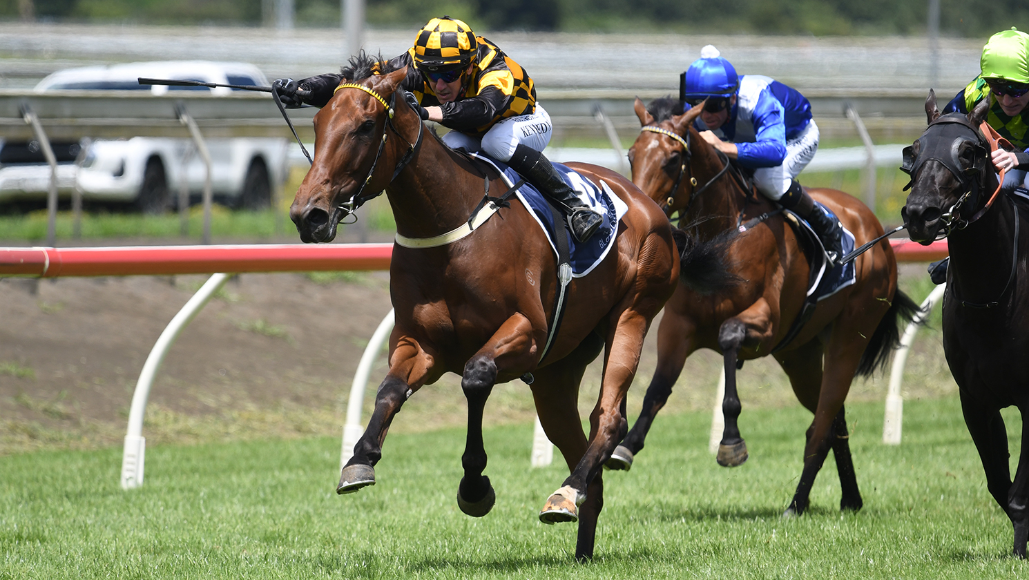 Fitting Double for Cambridge Stud in NZB Filly of the Year Feature
